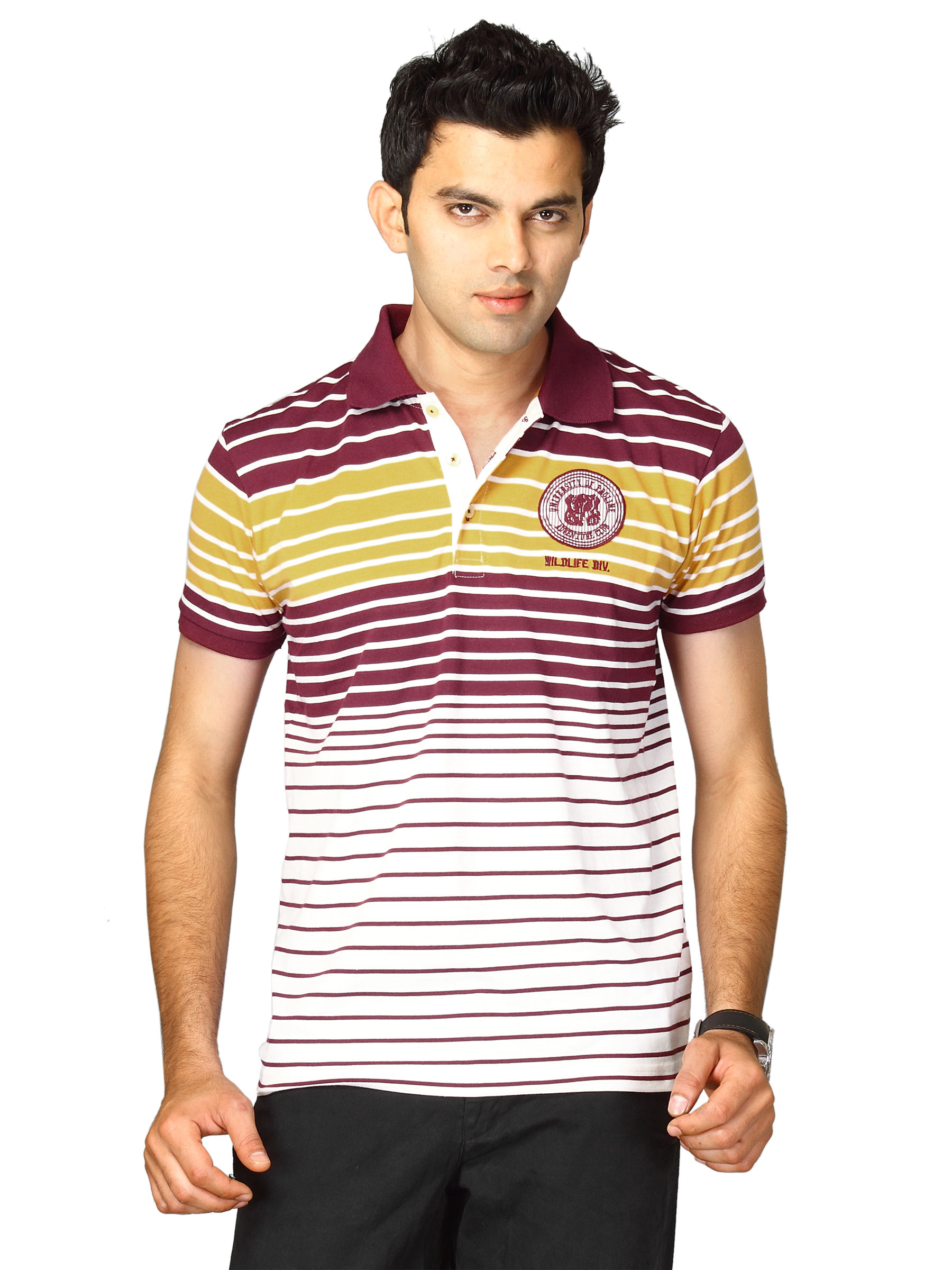 Proline Men Multicoloured Striped Polo T-shirt