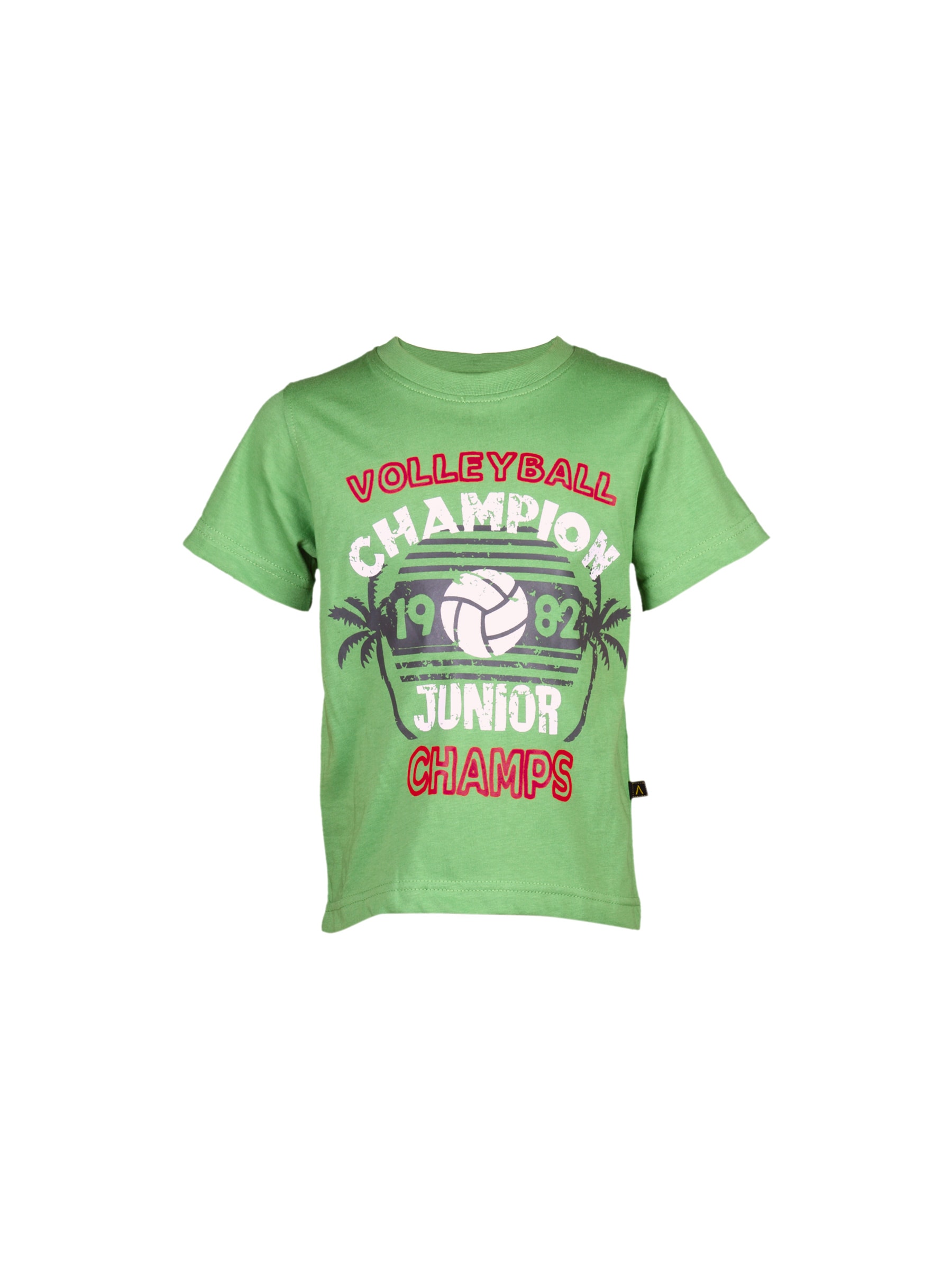 Doodle Boy's Volleyball Champion Green White Kidswear