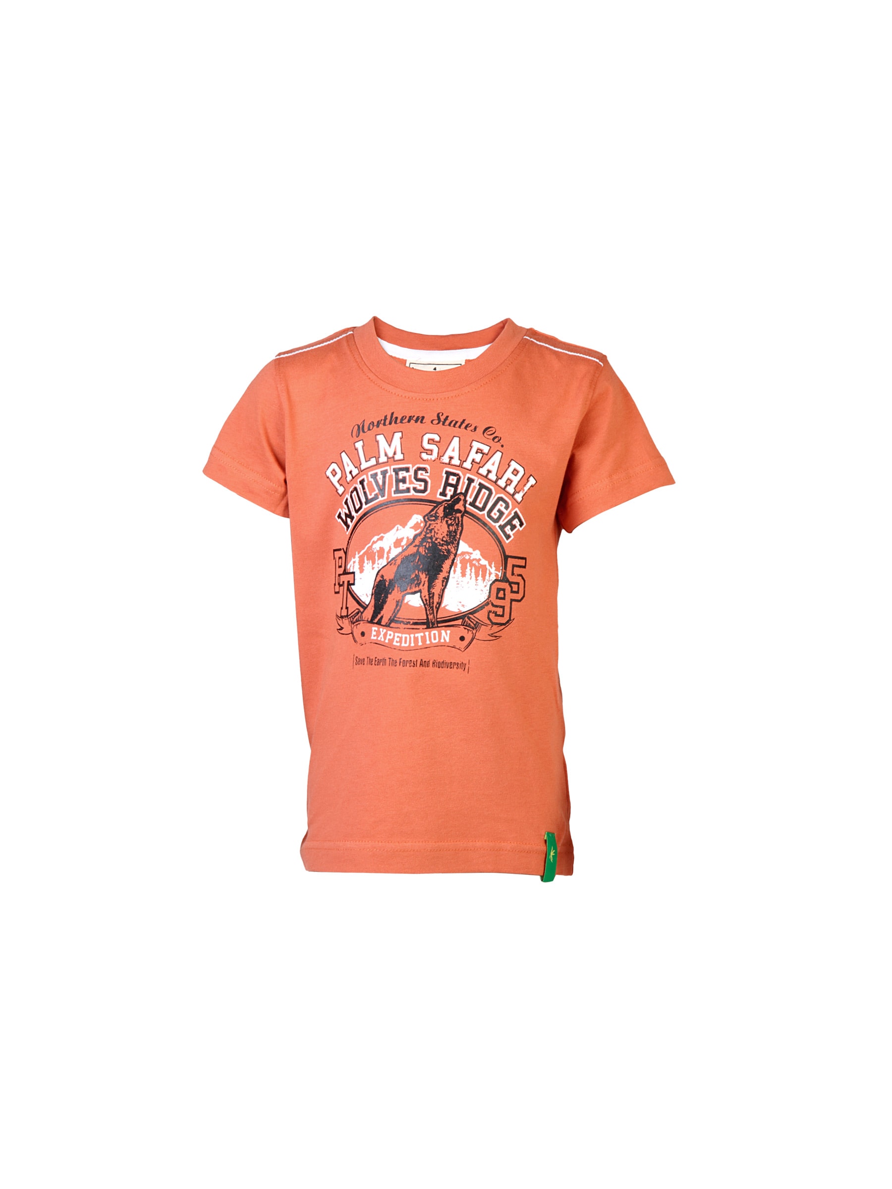 Palm Tree Kids Boys Printed Orange Tshirts