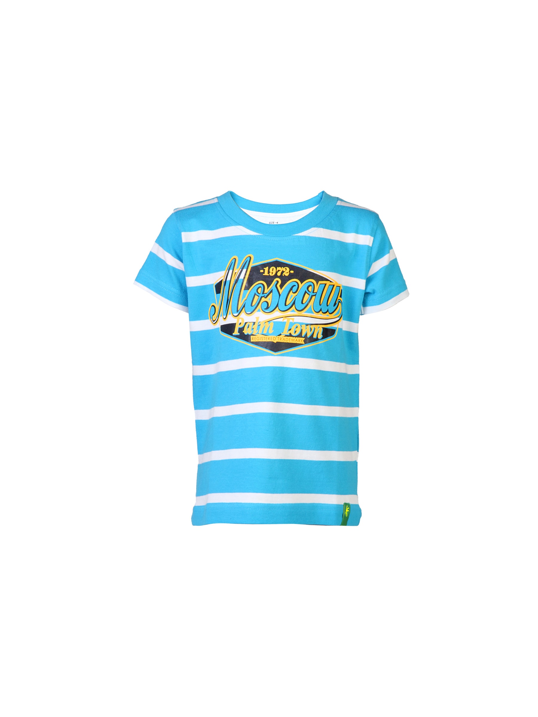 Palm Tree Kids Boys Stripes Blue Tshirts