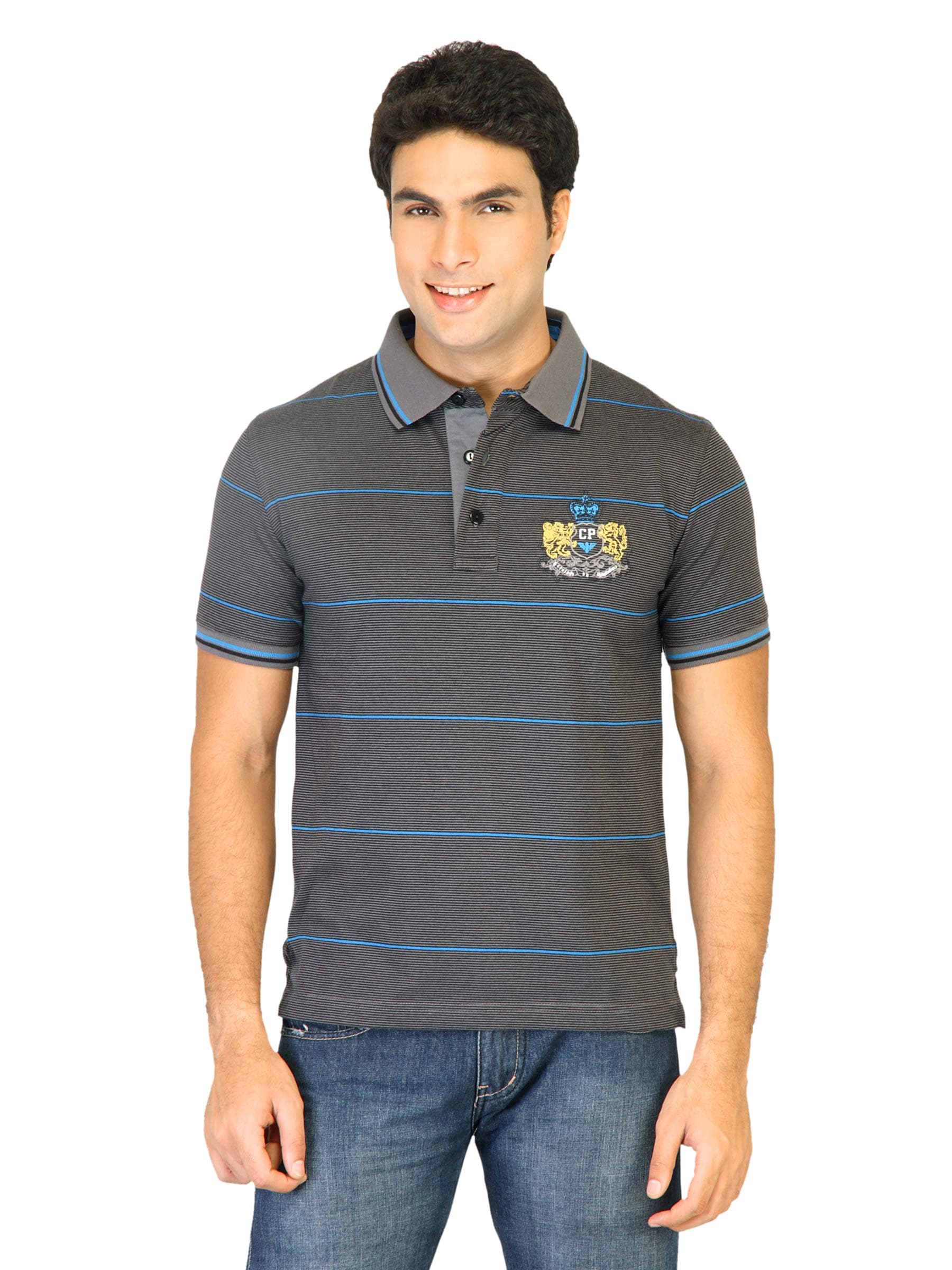 Classic Polo Men Stripes Grey Tshirts