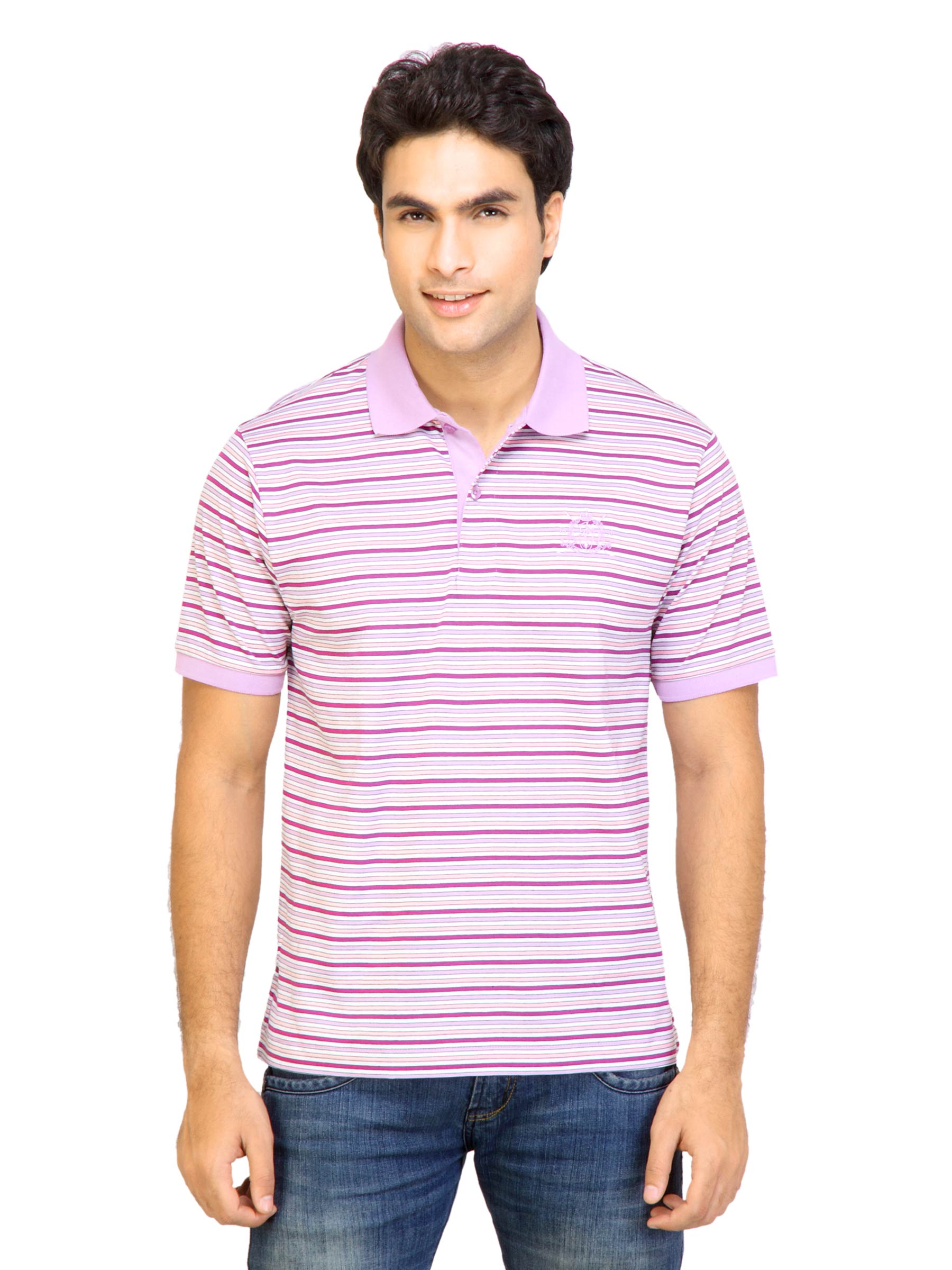 Arrow Sport Men Stripes Lavender  Polo Tshirts