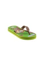 Warner Bros Kids Unisex LT Taz Flops Green Slippers