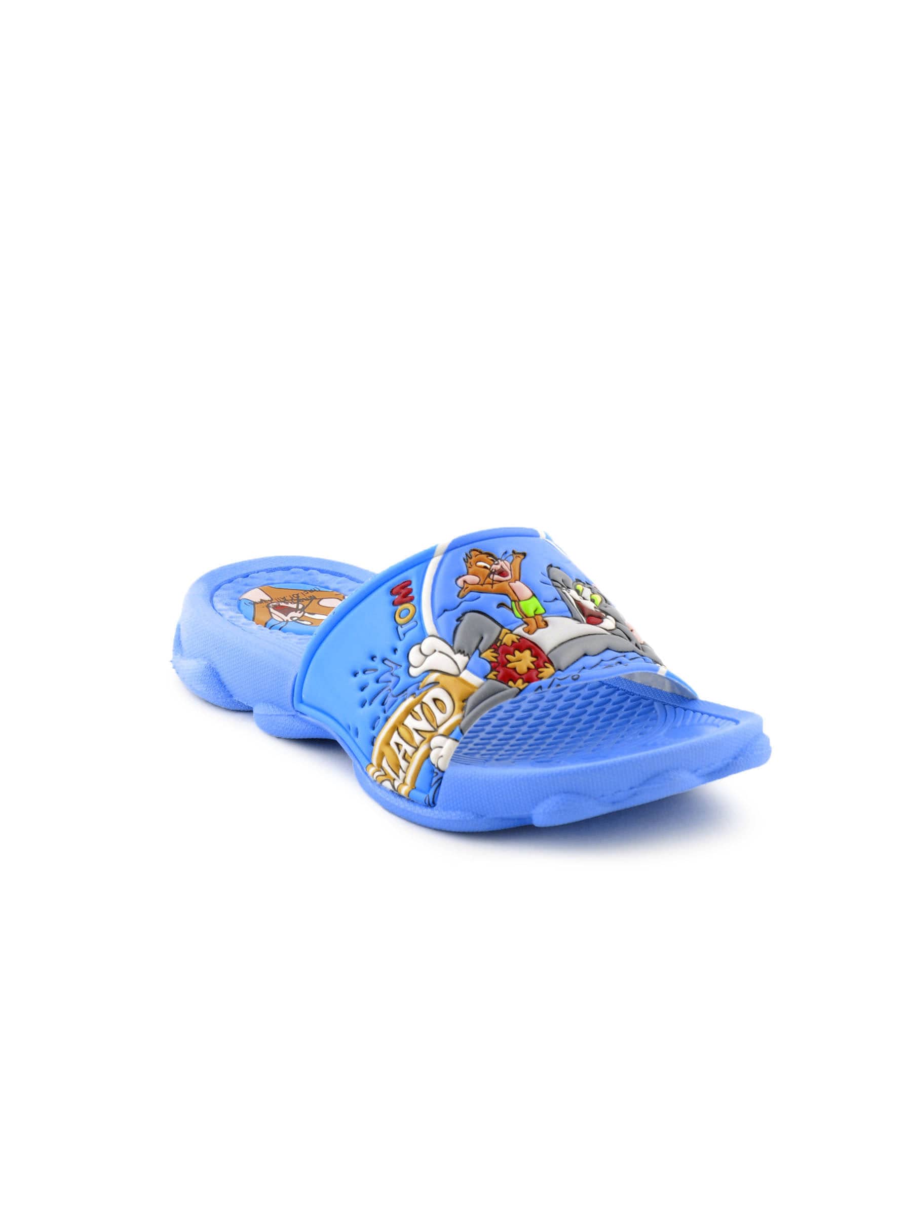 Warner Bros Kids Unisex TJ Beach Slipper Blue Slippers