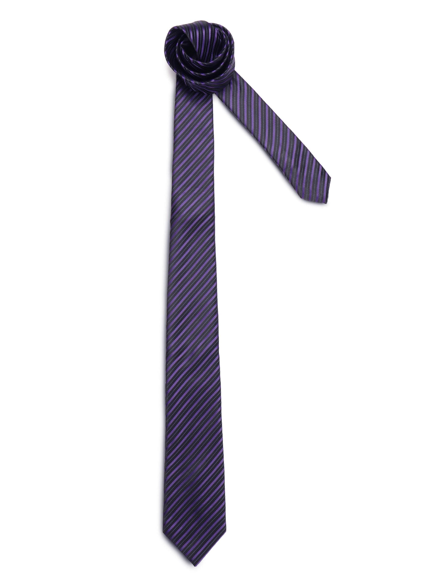 Turtle Men Stripes Purple Ties