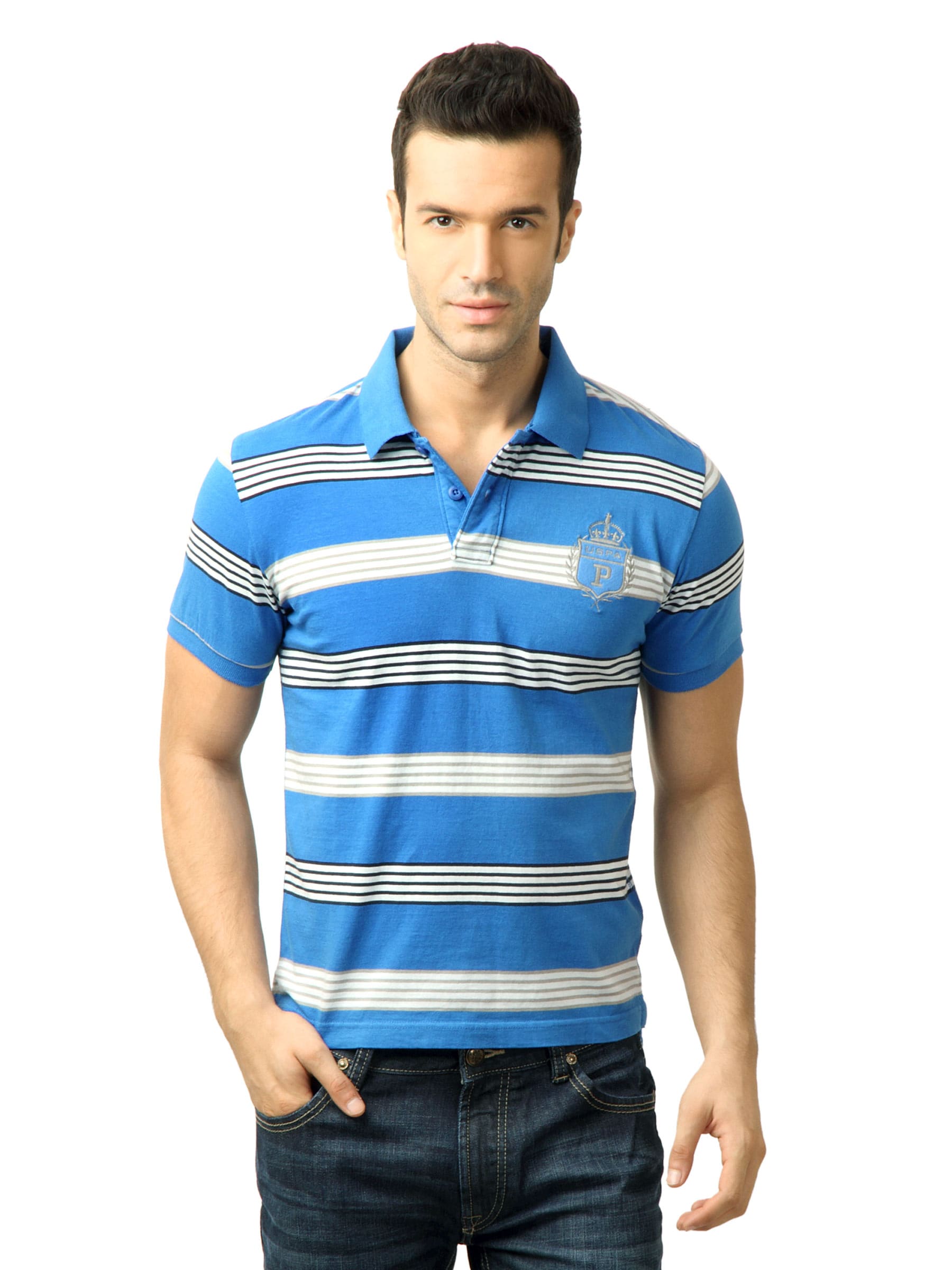 U.S. Polo Assn. Men Stripes Blue Polo Tshirt