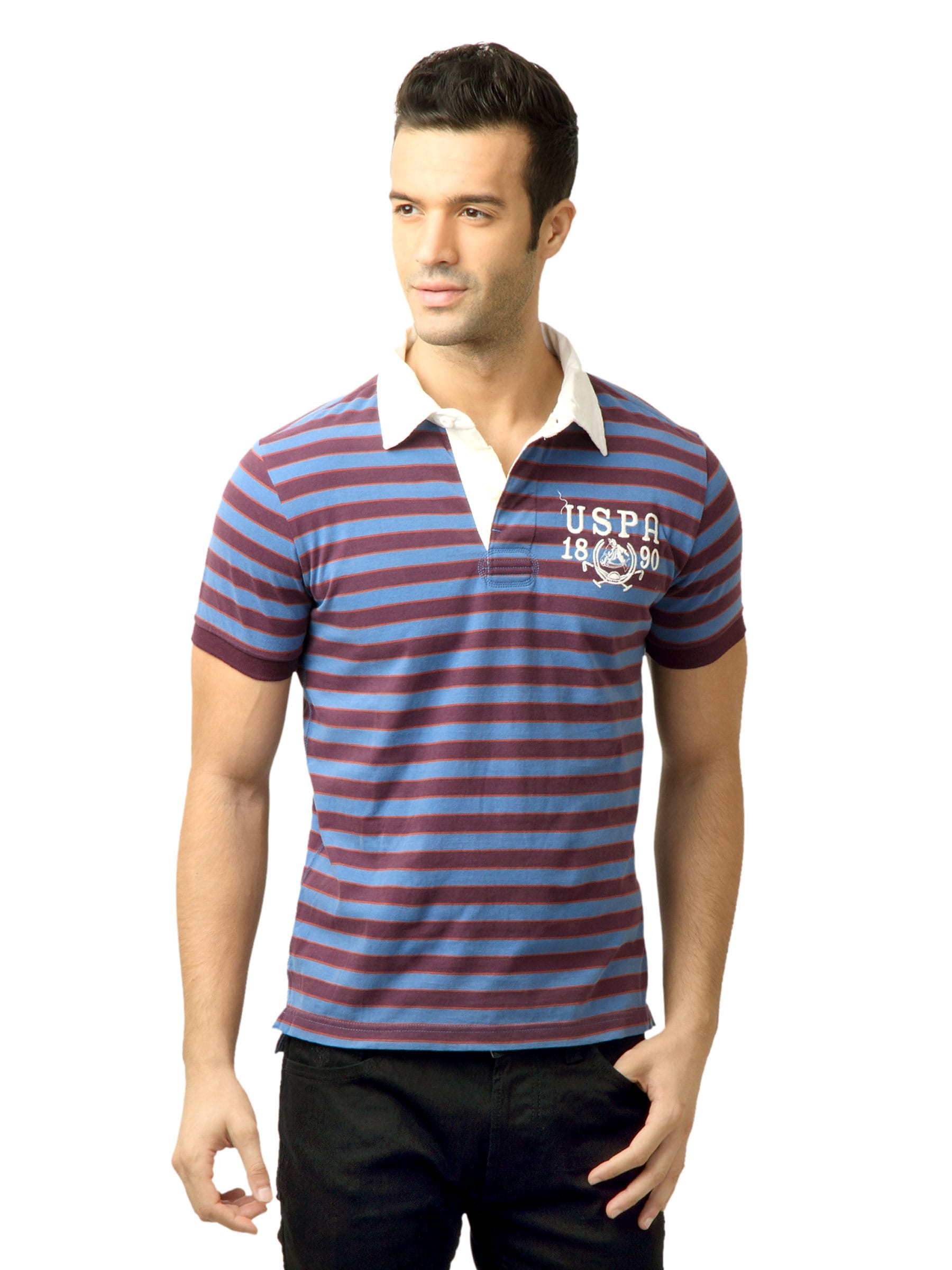 U.S. Polo Assn. Men Stripes Fedral Blue Polo  Tshirt