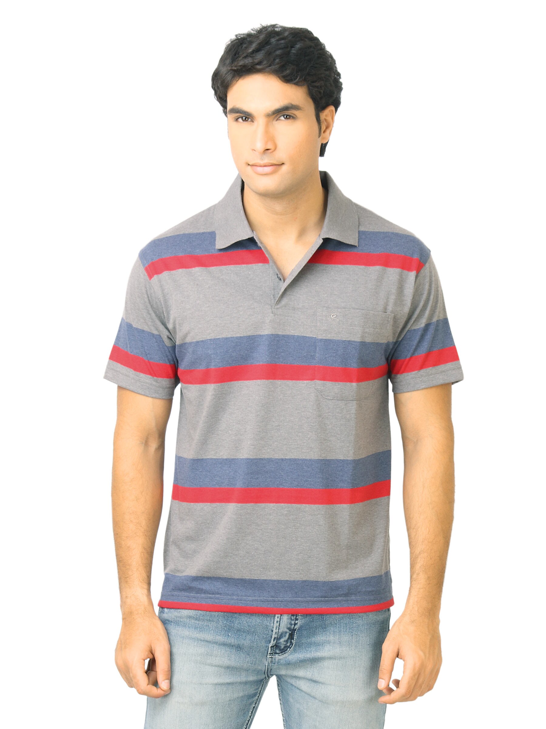 Classic Polo Men Stripes Grey Polo T-Shirt