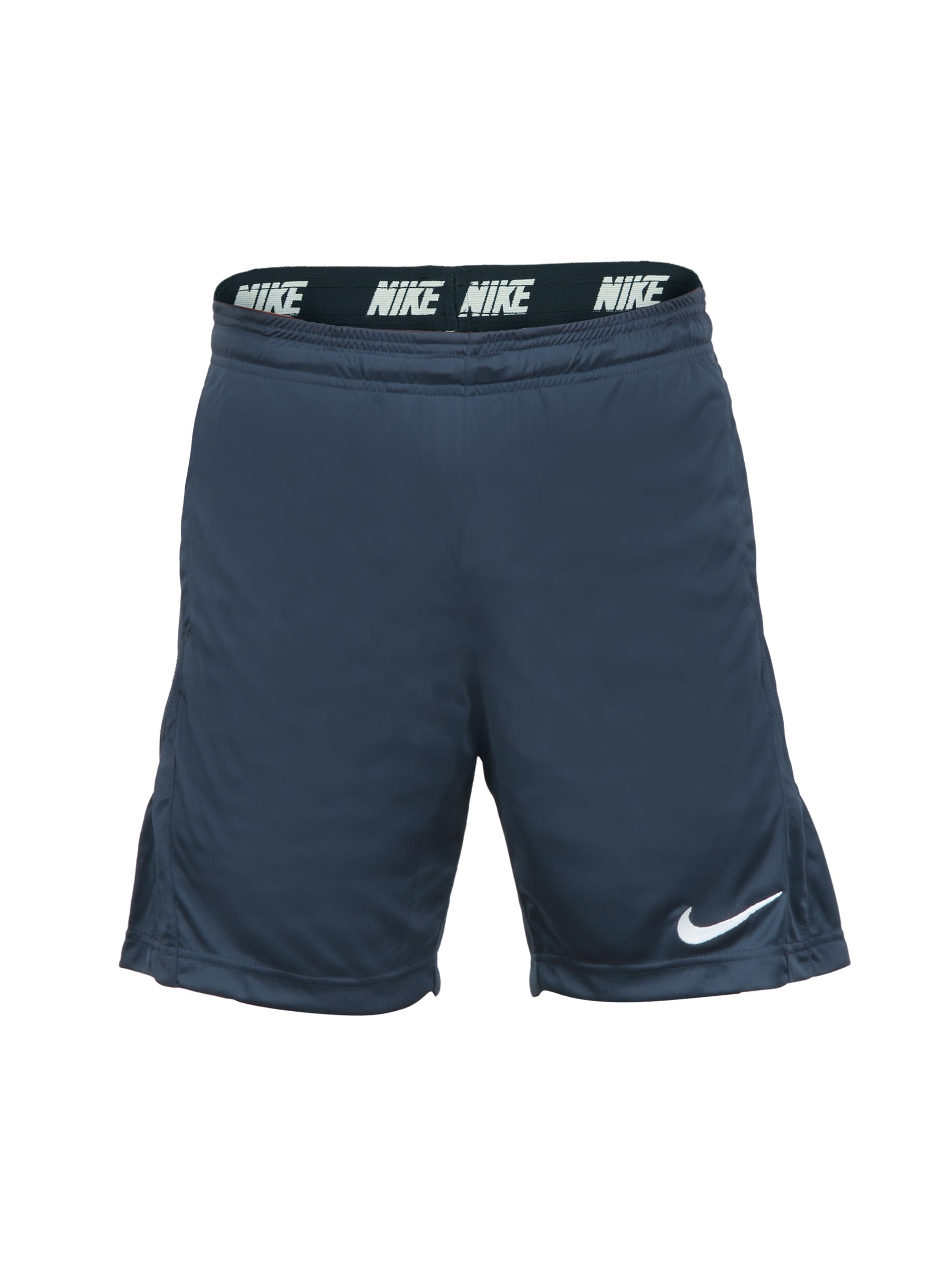 Nike Men Navy Blue Shorts