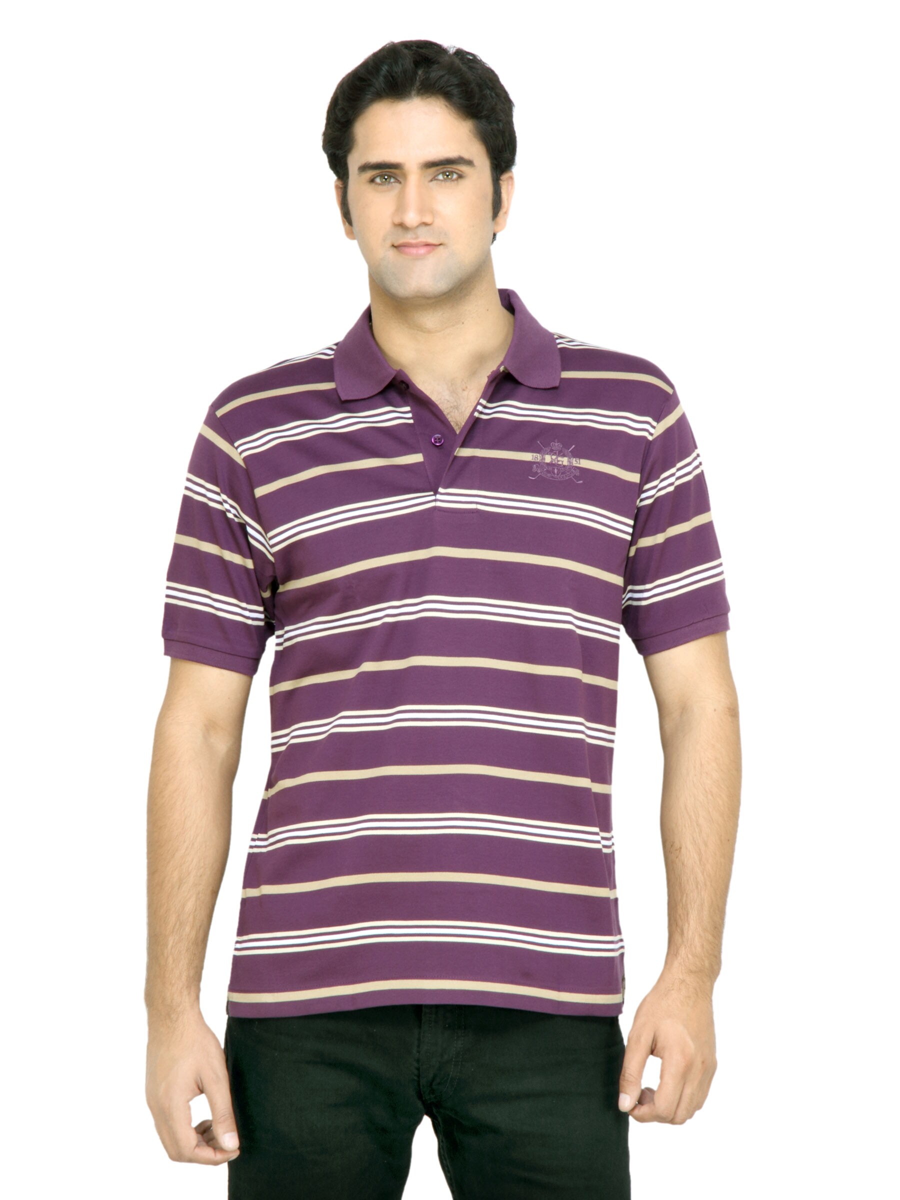 Arrow Men Purple Striped T-shirt