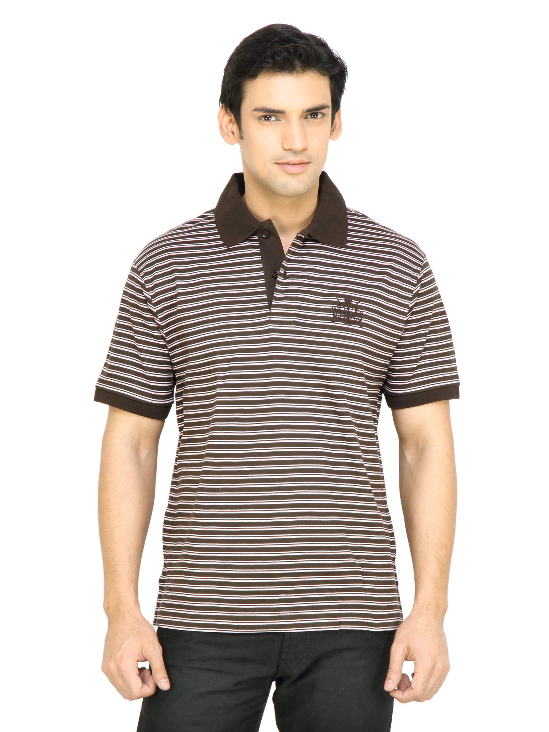 Arrow Sport Men Brown Striped T-shirt