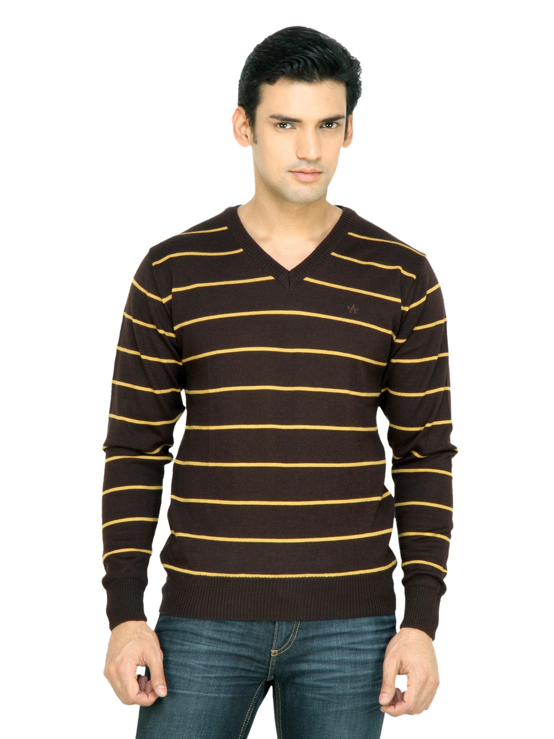 Arrow Men Brown Striped Sweater