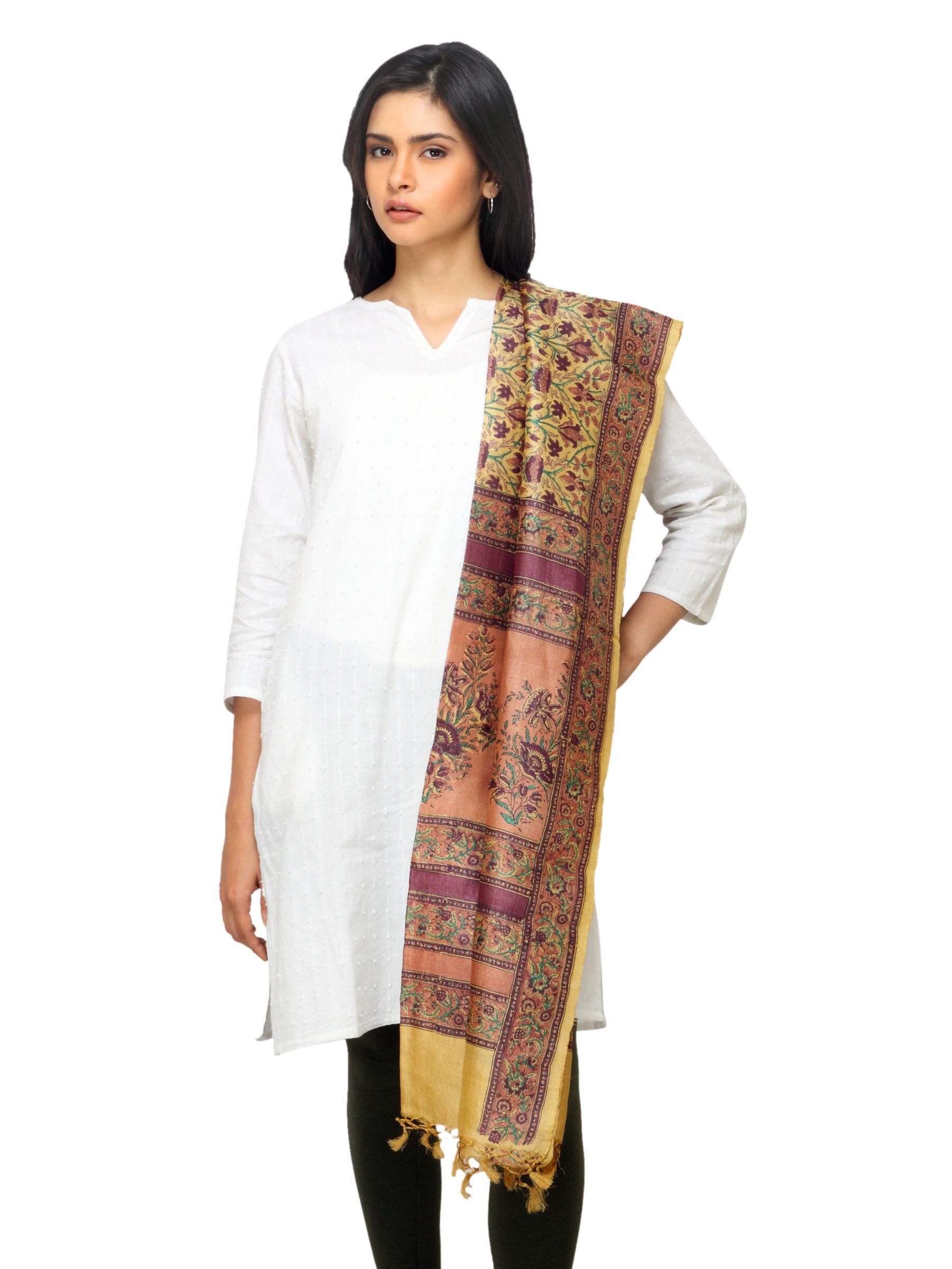 Fabindia Women Multi Coloured Silk Dupatta