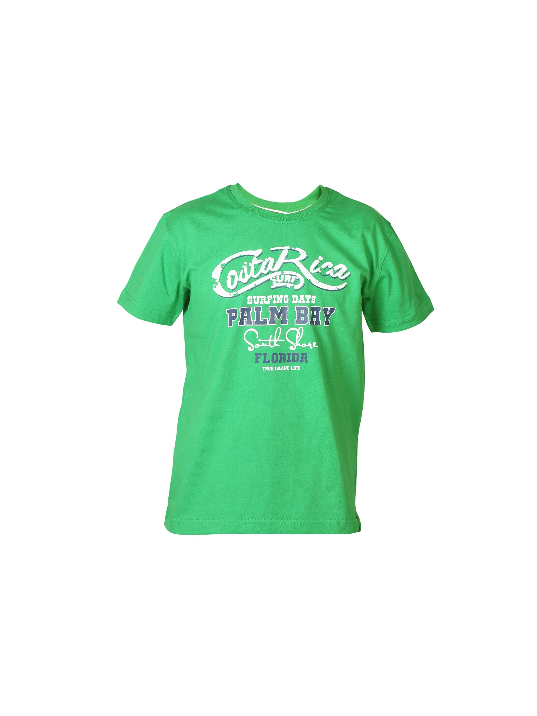 Palm Tree Boys Printed Green T-shirt
