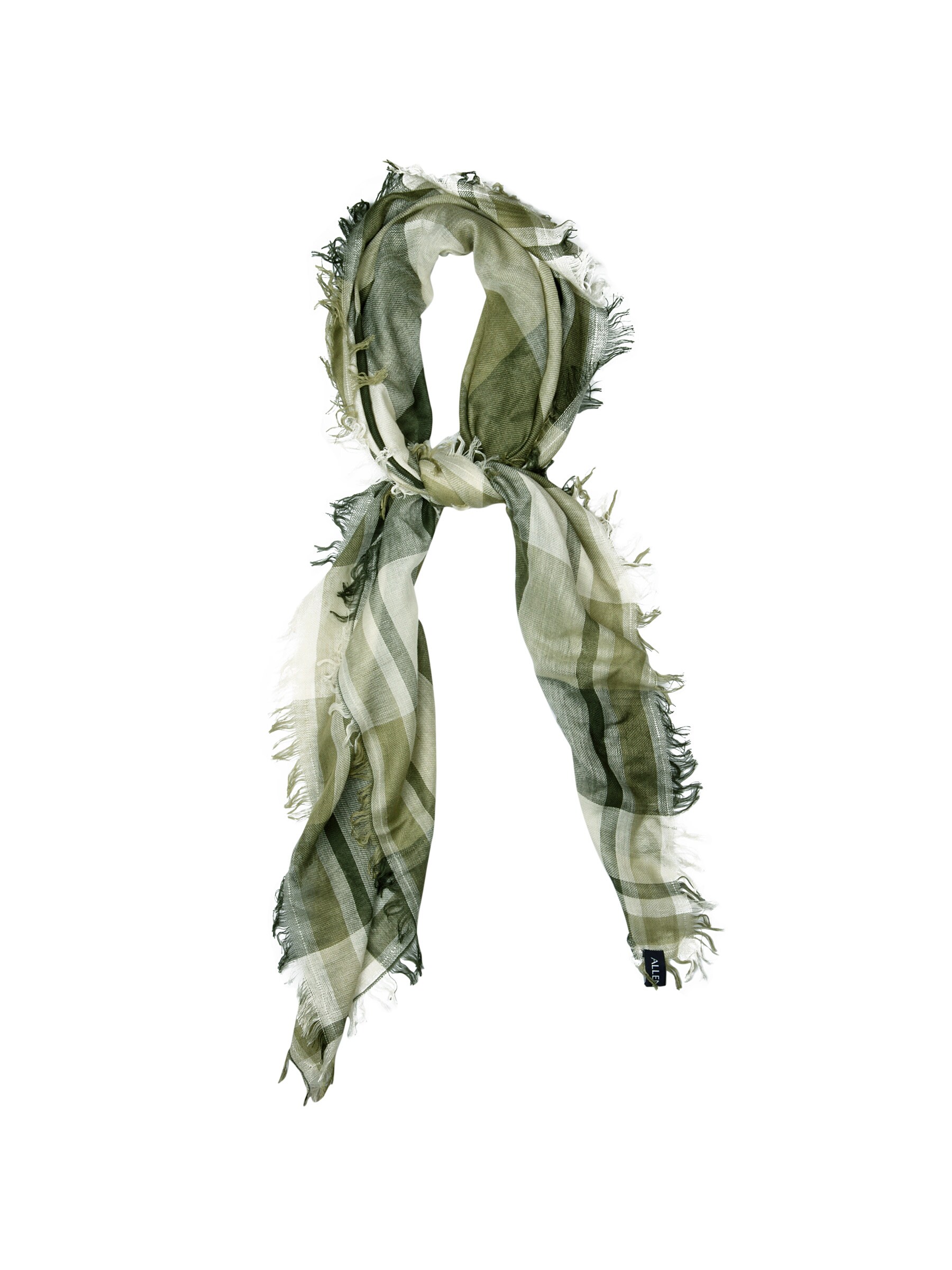 Allen Solly Woman Check Olive Scarf