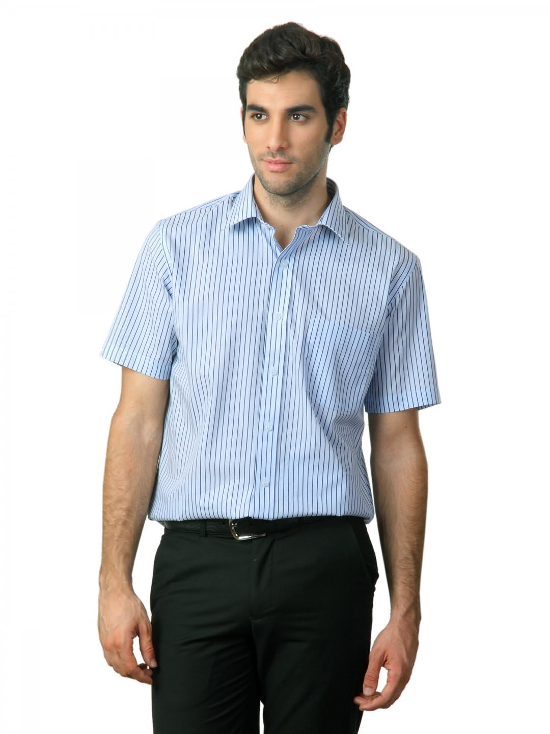 Arrow Men Blue Striped Shirt