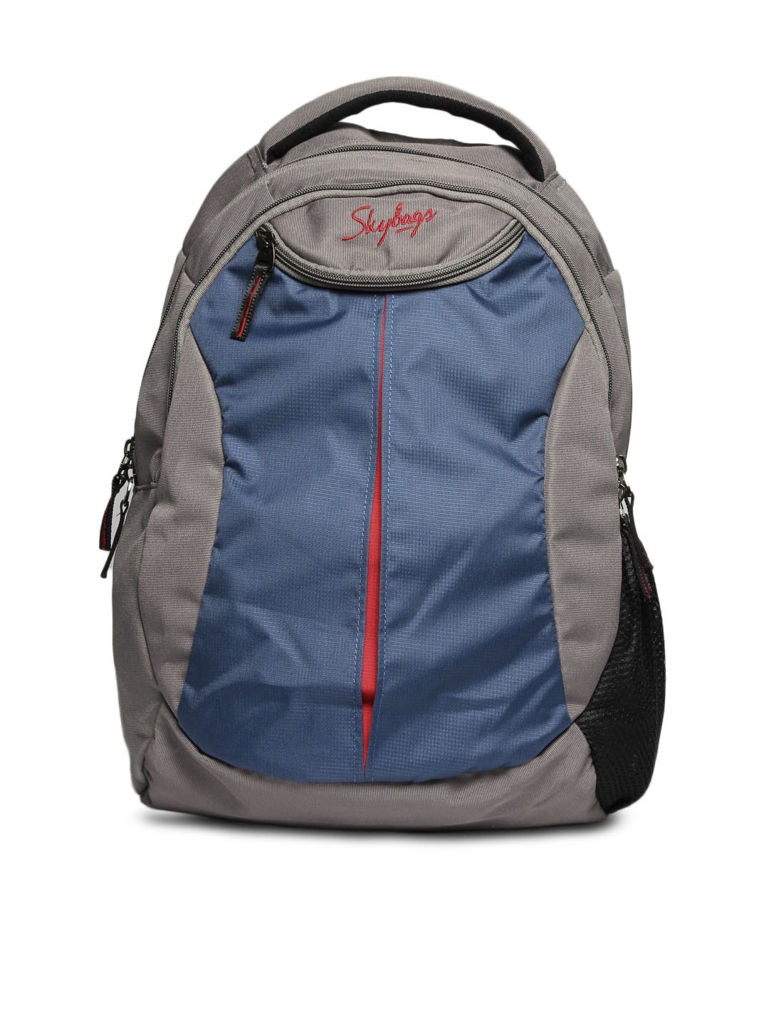 Skybags Unisex Grey Backpack