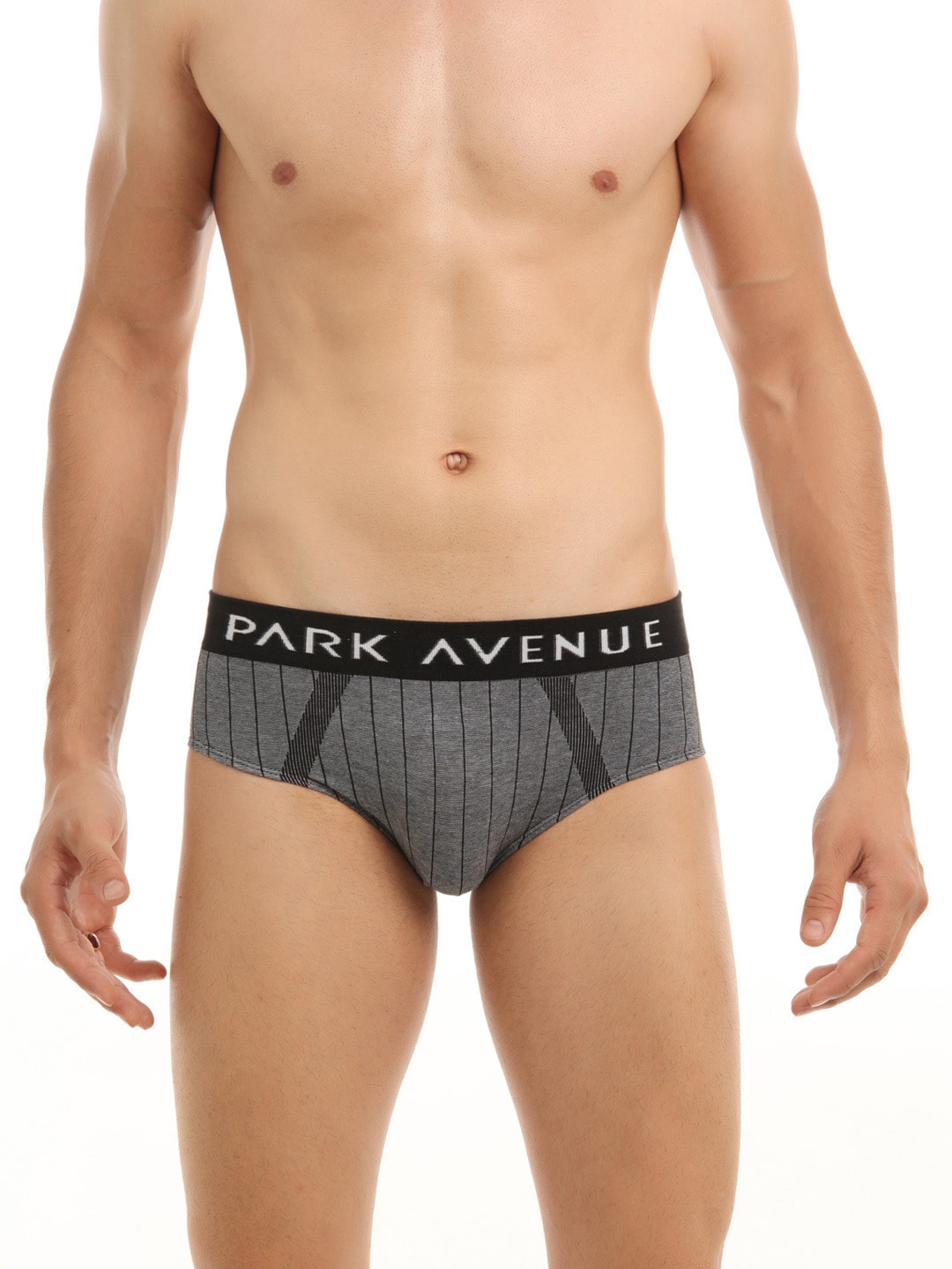 Park Avenue Men Grey Briefs