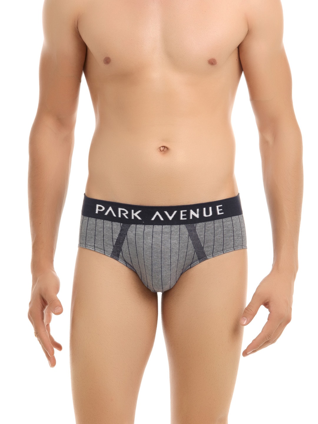 Park Avenue Men Grey Briefs