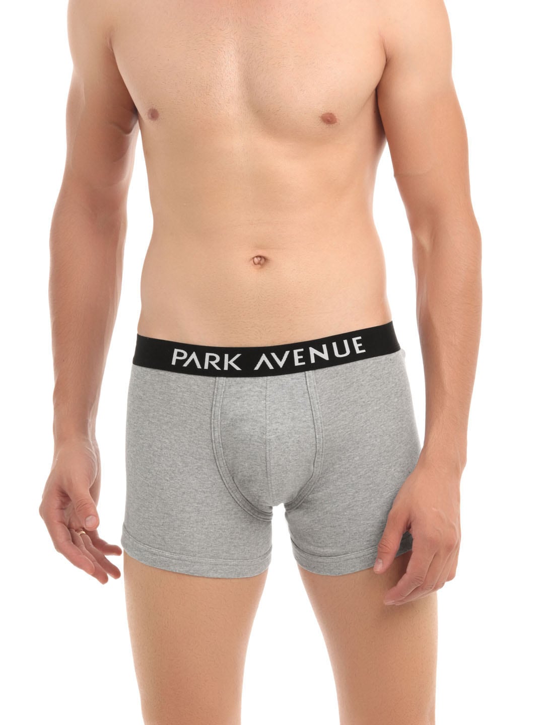 Park Avenue Men Grey Melange Trunks
