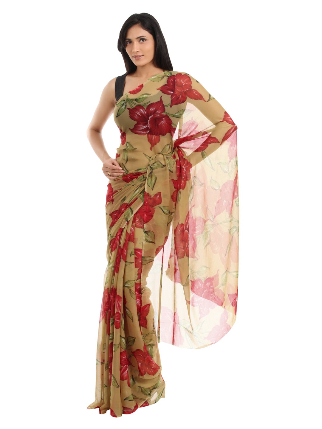 FNF Women Multi Coloured Sari